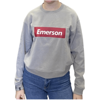 SWEATSHIRT 182.EW20.51 GREY